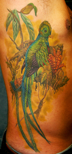 Tattoos - Tim Harris - Quetzal Bird